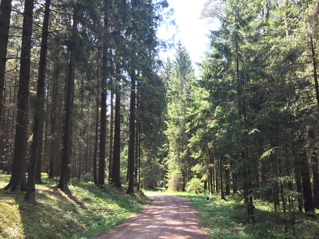 Landschaft oder Wegabschnitt am Aufseßer Brauereienweg