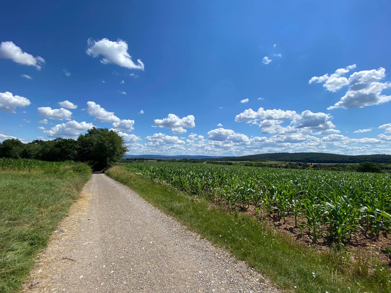 Trail section on a hike from Bamberg