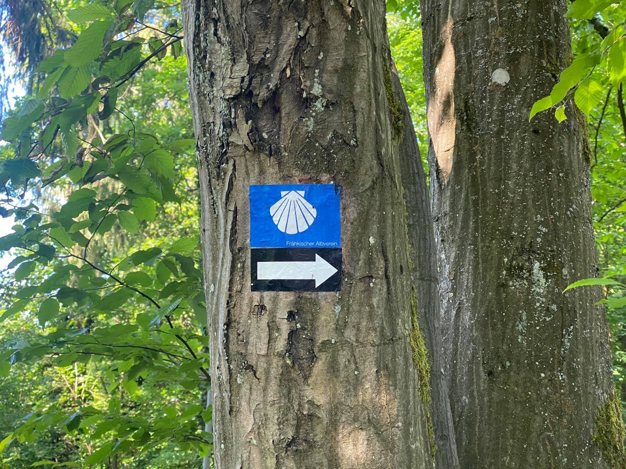 Mittelfränkischer Jakobsweg als langsame Reise durch Franken