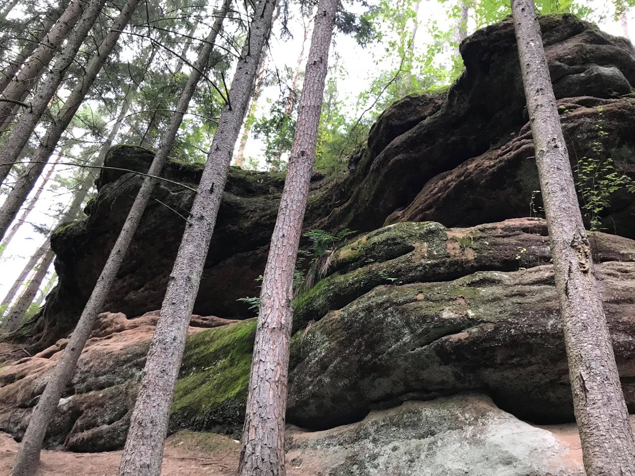 Felsen in der Schwarzachklamm