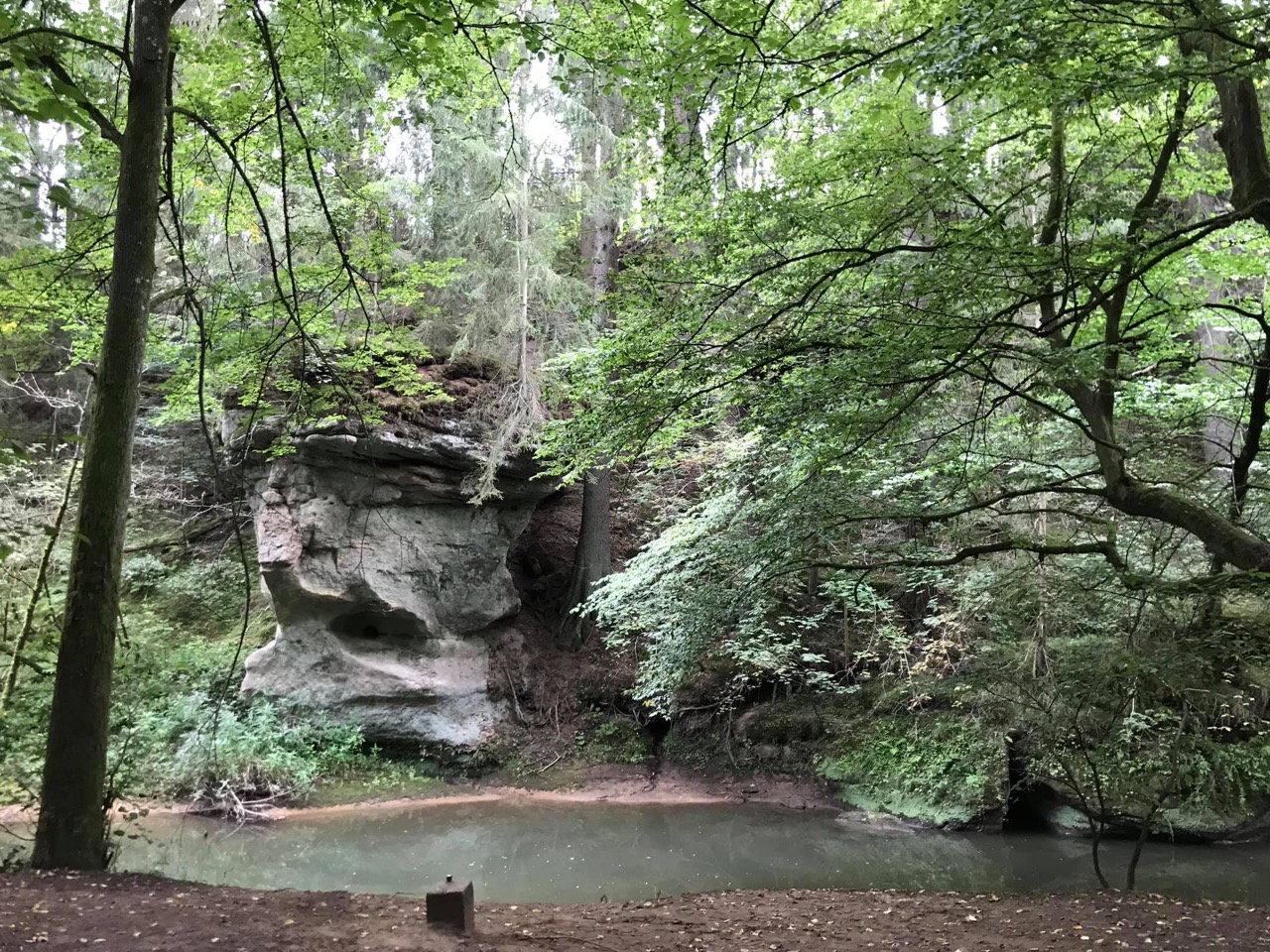 Water and nature in Schwarzachklamm