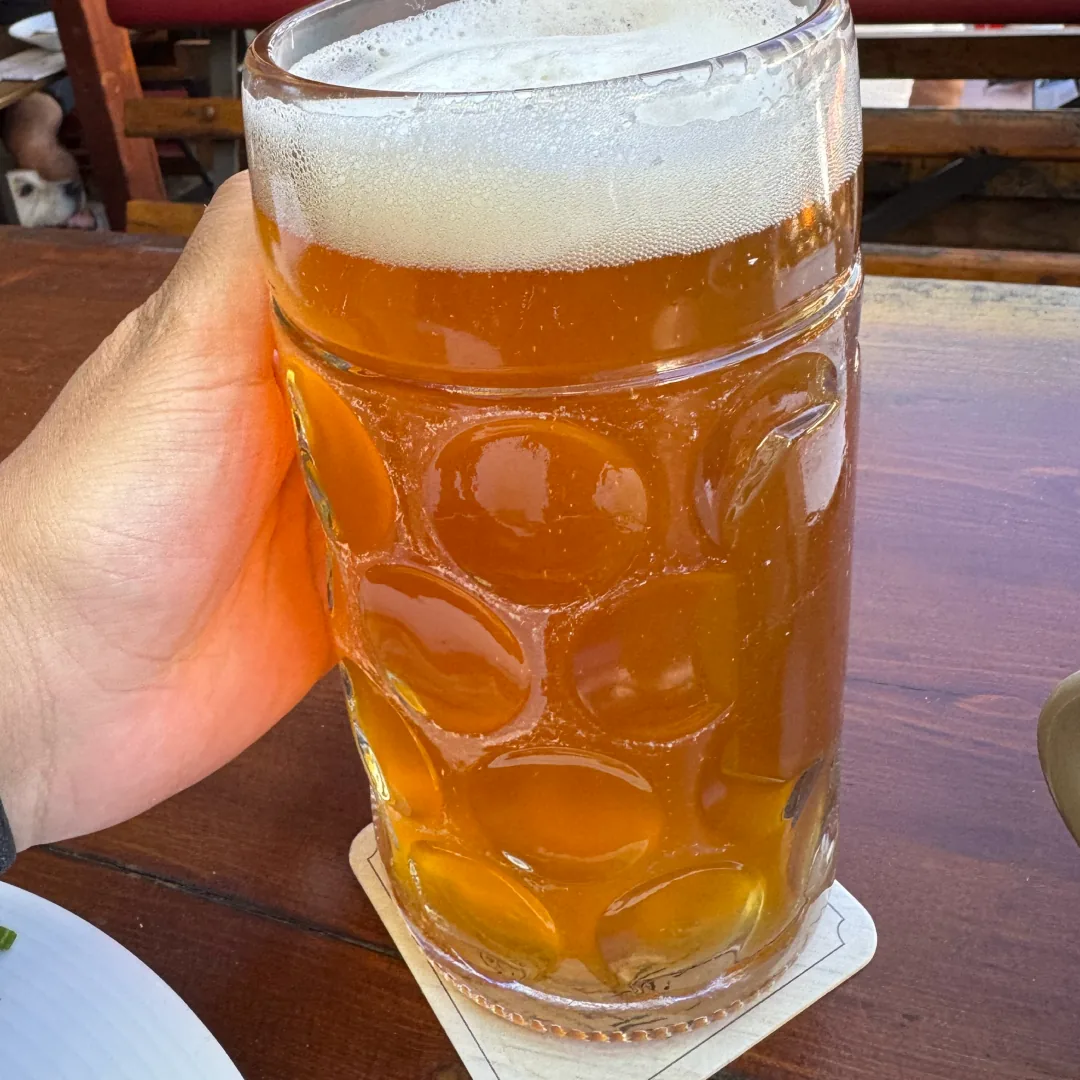 Festbier